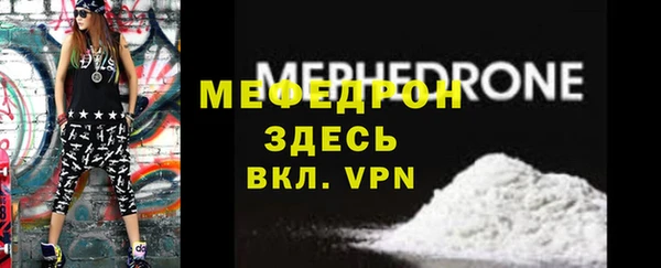 индика Богданович