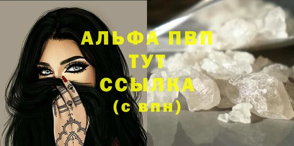 гашик Тында
