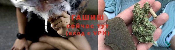 гашик Тында