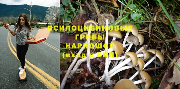 индика Богданович