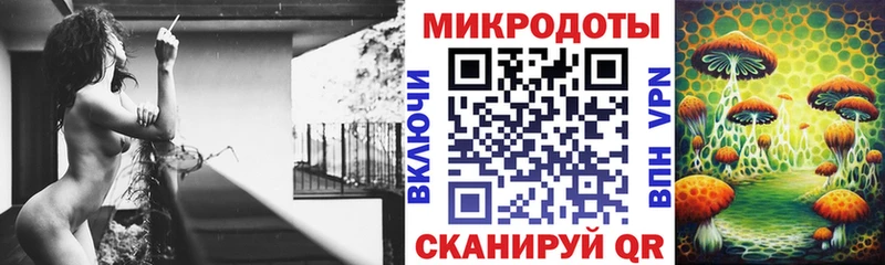 закладка  Элиста  hydra ТОР  Псилоцибиновые грибы мухоморы 