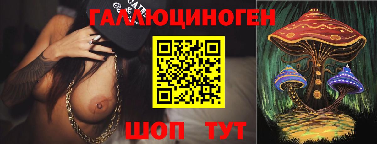 купить  сайты  Вход с VPN  Элиста  Галлюциногенные грибы Psilocybine cubensis  Псилоцибиновые грибы ЛСД 