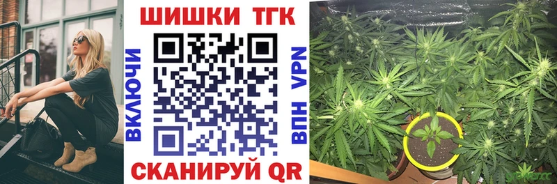 Бошки марихуана ГИДРОПОН  darknet телеграм  Элиста 